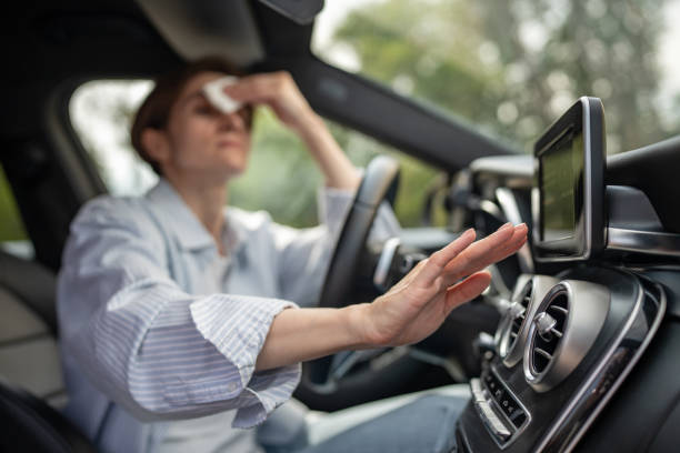 Best Thermostats and Smart Controls in Point, TX